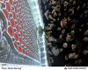 وداع تاریخی تهرانی‌ها با ضریح‌ عشق