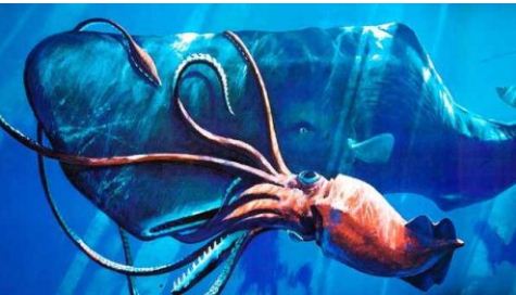 ماهی های فرا زمینی +عکس