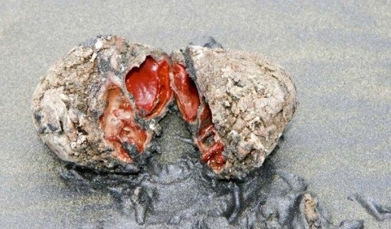 عجیب ترین سنگ روی زمین