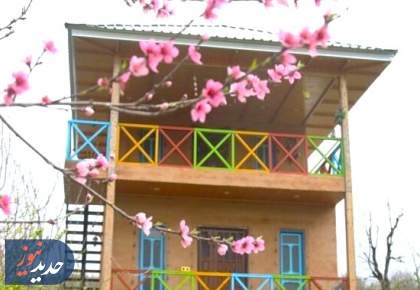 شکوفه‌های بهاری در سوادکوه + تصاویر  <img src="/images/picture_icon.png" width="16" height="16" border="0" align="top">