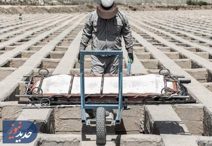 اموات از مهر روی زمین می‌مانند