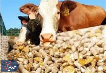 بازار نهاده تا 2 ماه آینده به ثبات می‌رسد