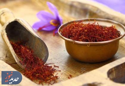 از تربت‌حیدریه تا دوبی؛ رد پای سودهای میلیاردی مافیا