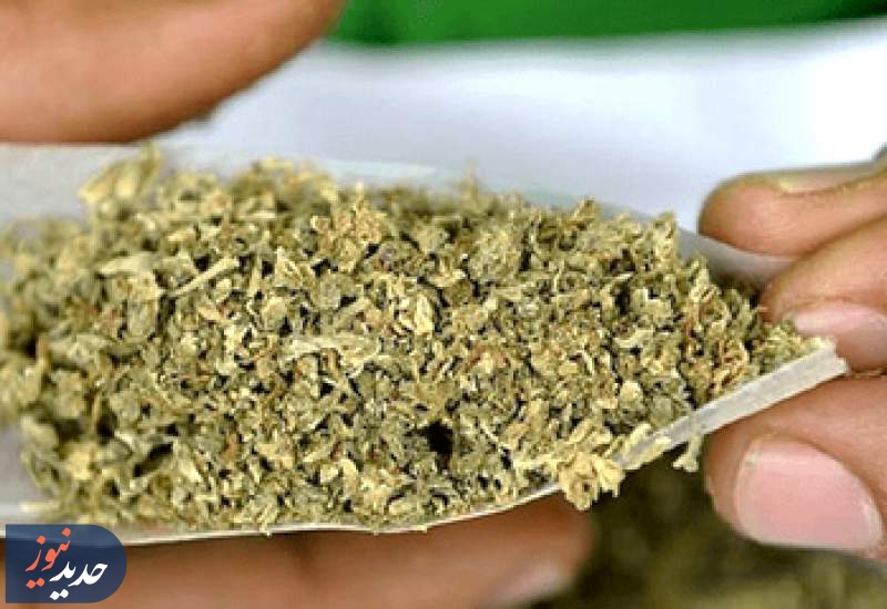 حقایقی تکان‌ دهنده درباره عوارض مخدرها