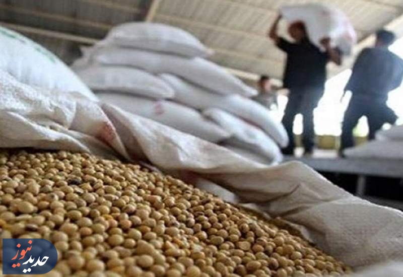 مضیقه دامداران | 650 هزار تن ذرت در انتظار تامین ارز