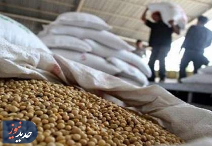 مضیقه دامداران | 650 هزار تن ذرت در انتظار تامین ارز