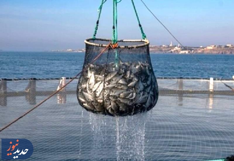 تبدیل دریا و ساحل به فضای کسب‌وکار