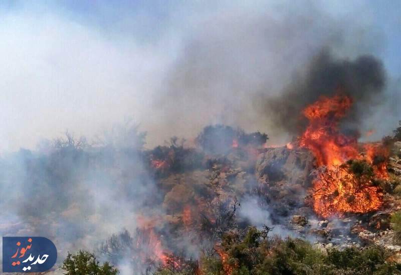 آتش‌افروز هیرکانی بازداشت شد