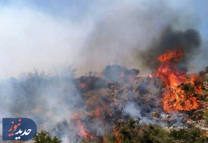 آتش‌افروز هیرکانی بازداشت شد