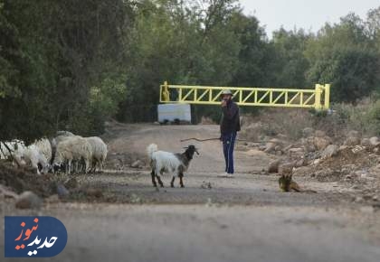 معیشت ساکنان قنیطره در گروگان اسرائیل