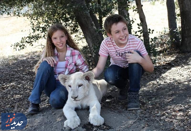 «رویای جیمی»، «تعویض دنده» و «هنری جانسون»،  از قاب سیما