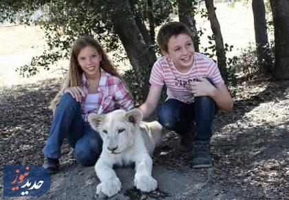 «رویای جیمی»، «تعویض دنده» و «هنری جانسون»،  از قاب سیما