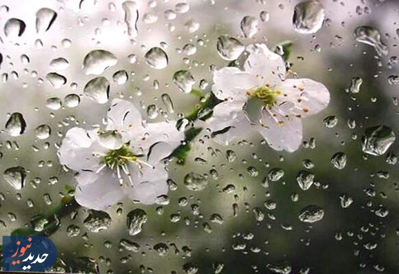 «بارش های پیاپی» ایران را زنده کرد + فیلم  