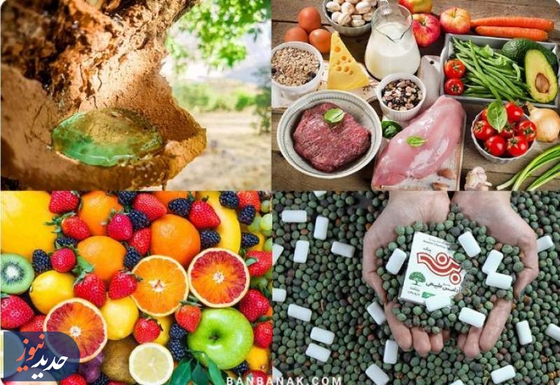 سه برنامه با موضوعات طنز، گردشگری و سلامت خانواده در  رادیو صبا